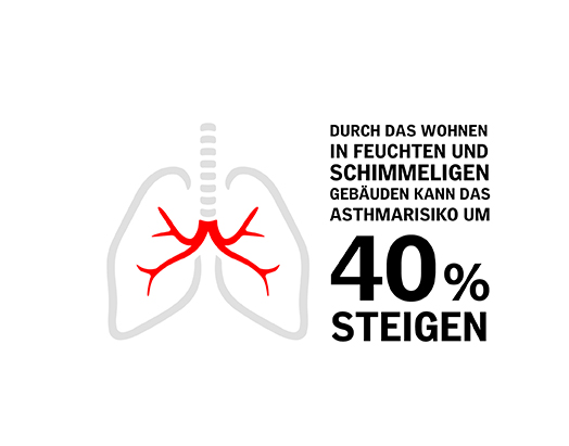 Infografik feuchtes Raumklima belastet Atemwege | VELUX Magazin